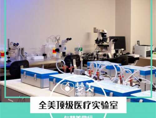 比什凯克地下供卵机构避坑指南：这些低价陷阱千万别踩