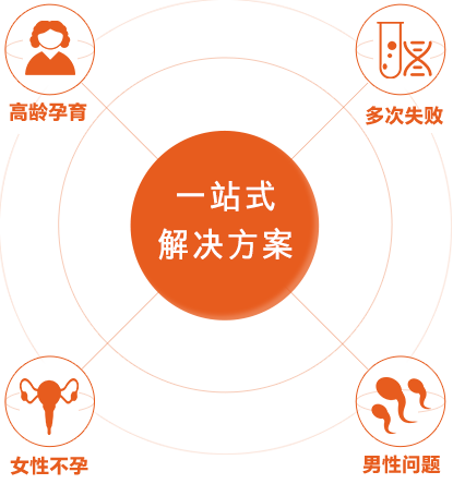 郑州育宝国际